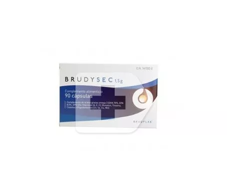 BrudySec 1