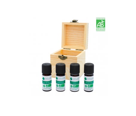Caja de Difusión Navideña Ecológica Voshuilesen oferta