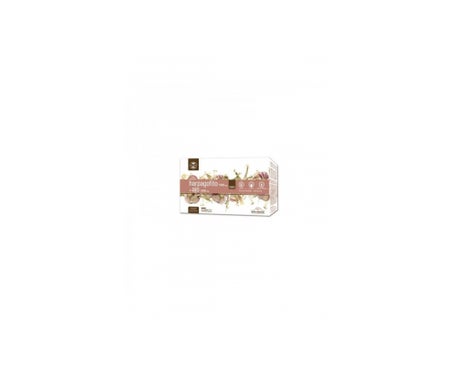 Dietmed Harpago Y Ajo Forte 15mlx20ampen oferta