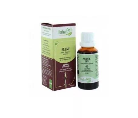 En Oferta Herbalgem Macerate Alder Concentrate Concentrado De Gluten Orgánico Alder Concentrate 30Mlen Oferta