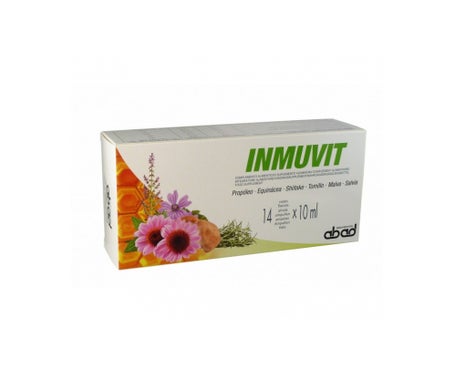 Inmuvit 14 Vialesen oferta