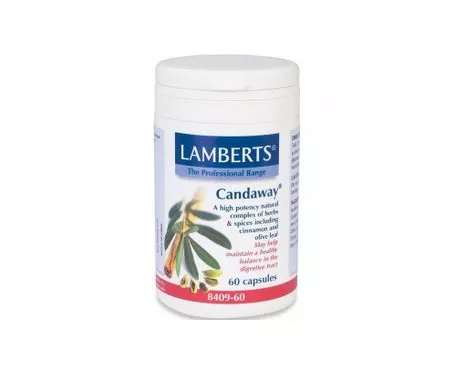 Lamberts Candaway 60 Capen oferta