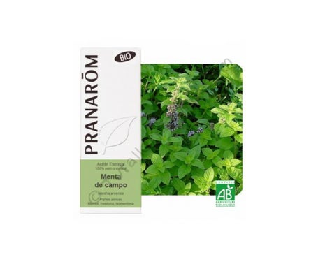 Menta Campo Bio 10ml Aceite Esencialen oferta
