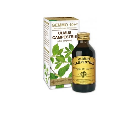 OLMO CAMP 100ML ANALCO GEMA 10+en oferta