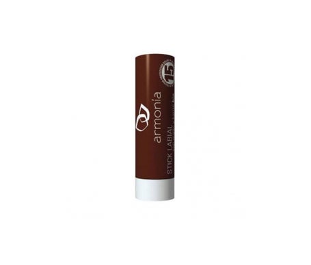 Stick Labial Argan Karite 4gr Armoniaen oferta