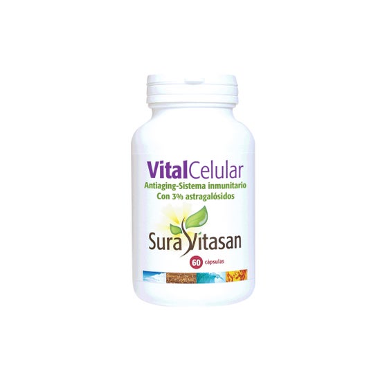Sura Vitasan Serratiopeptidasa 60 Cápsulasen oferta