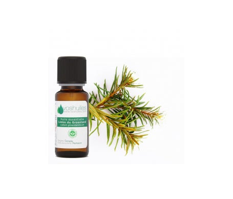 Voshuiles Aceite Esencial de Árbol del Té de Groenlandia 10mlen oferta
