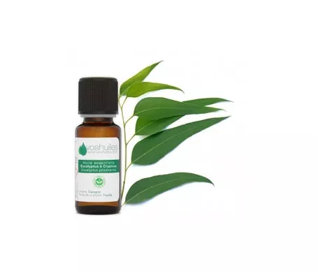 En Oferta Voshuiles Aceite Esencial De Eucalipto Con Criptona 10Mlen Oferta