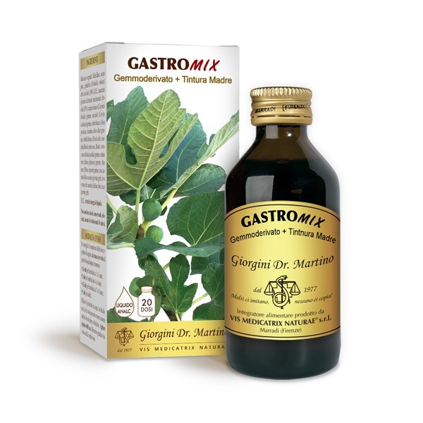 Dr. Giorgini Integratore Alimentare, Gastromix Liquido Analcoolico - 100 ml