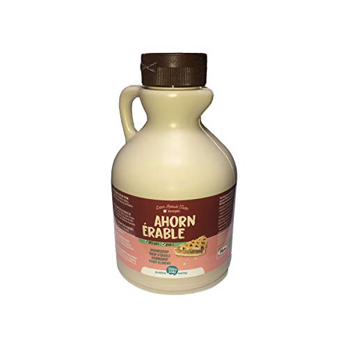 Terrasana Sirope Arce Bio 500 Ml