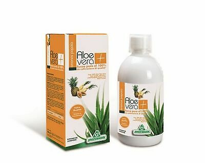 ALOEVERA+ ANAN/PAP1000ML JUGO