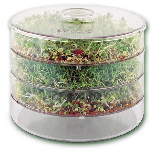Un germinador de semillas grandes de Vogel Biosnacky 3 nivel Germinator